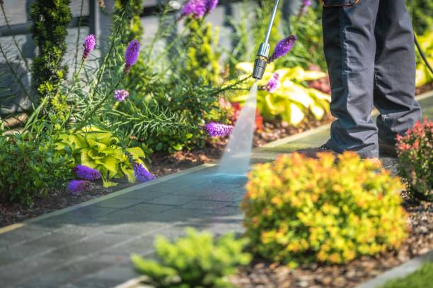 Best Winterizing Services  in Barboursville, WV