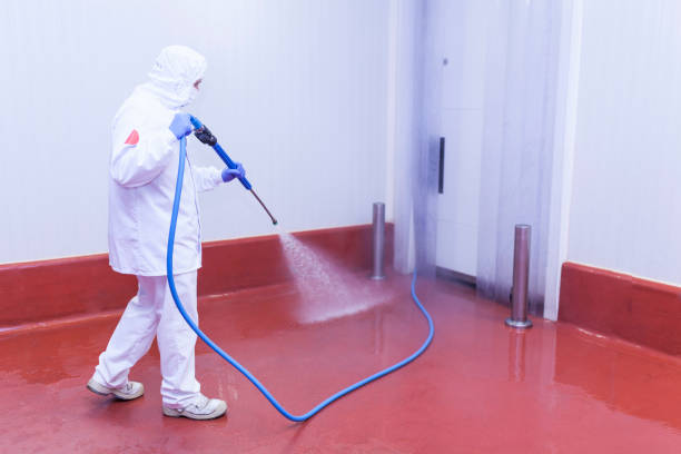 Trusted Barboursville, WV  Pressure Washing Services Experts