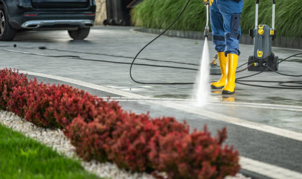 Best Sidewalk and Walkway Cleaning  in Barboursville, WV